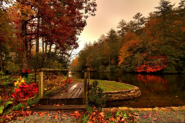 Paysage d automne avec pont sur la rivière