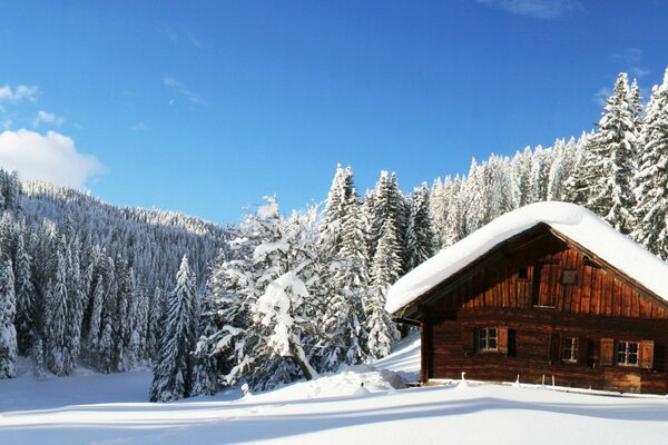 Casa di legno innevata vicino alla foresta