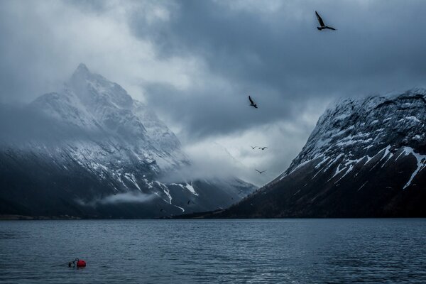 Matin gris dans les montagnes de Norvège