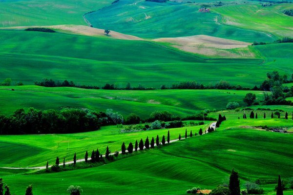 Bordo verde, campi senza fine