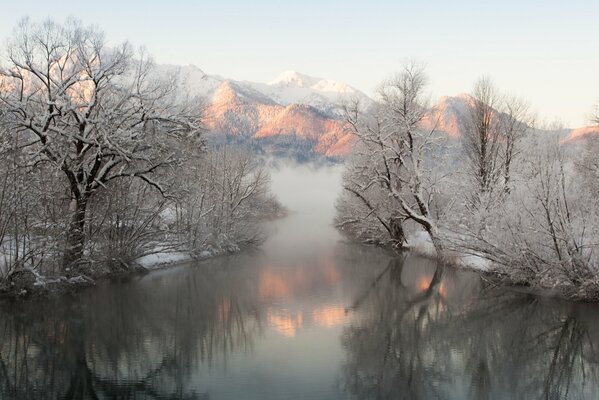 Weiße Bäume am Fluss im Winter