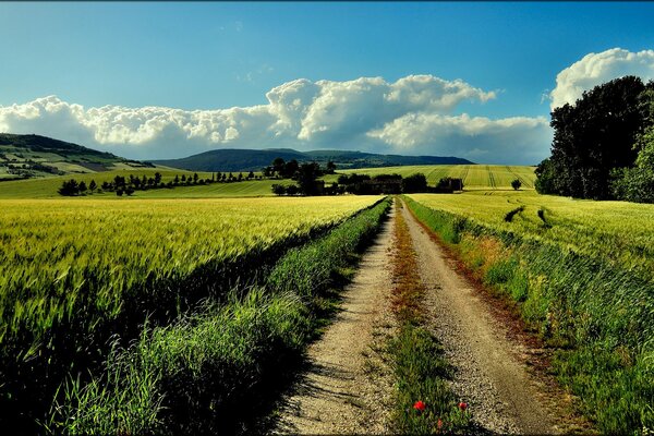 Cielo blu e strada rurale in estate in Italia