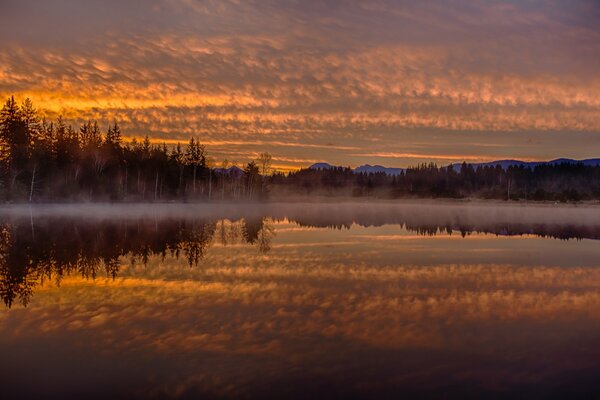 Misty lake on the background of sunset