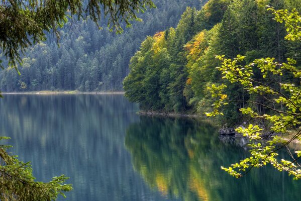 Деревья отражаются в воде на озере