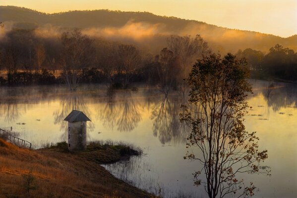 Niebla de otoño sobre un lago frío