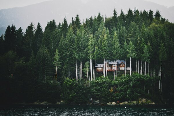 Casa solitaria rodeada de árboles en la orilla del lago