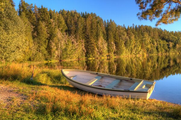 Llegó el otoño. Pesca matutina