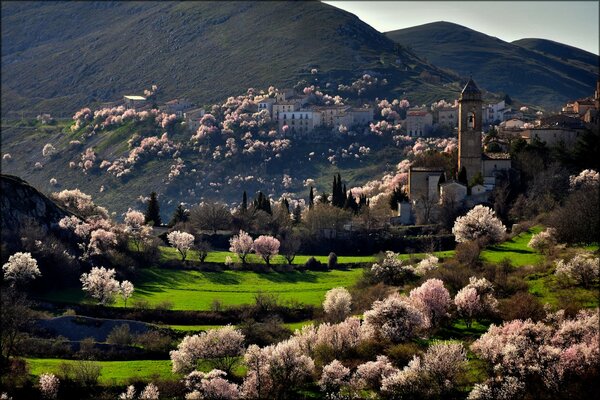 Vallée de printemps avec vue sur les montagnes