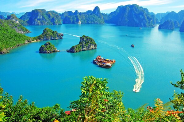 Barca da diporto nella baia di Ha Long con vegetazione luminosa e cielo blu