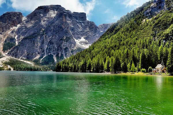 Foresta vicino allo stagno vicino alle cime delle montagne