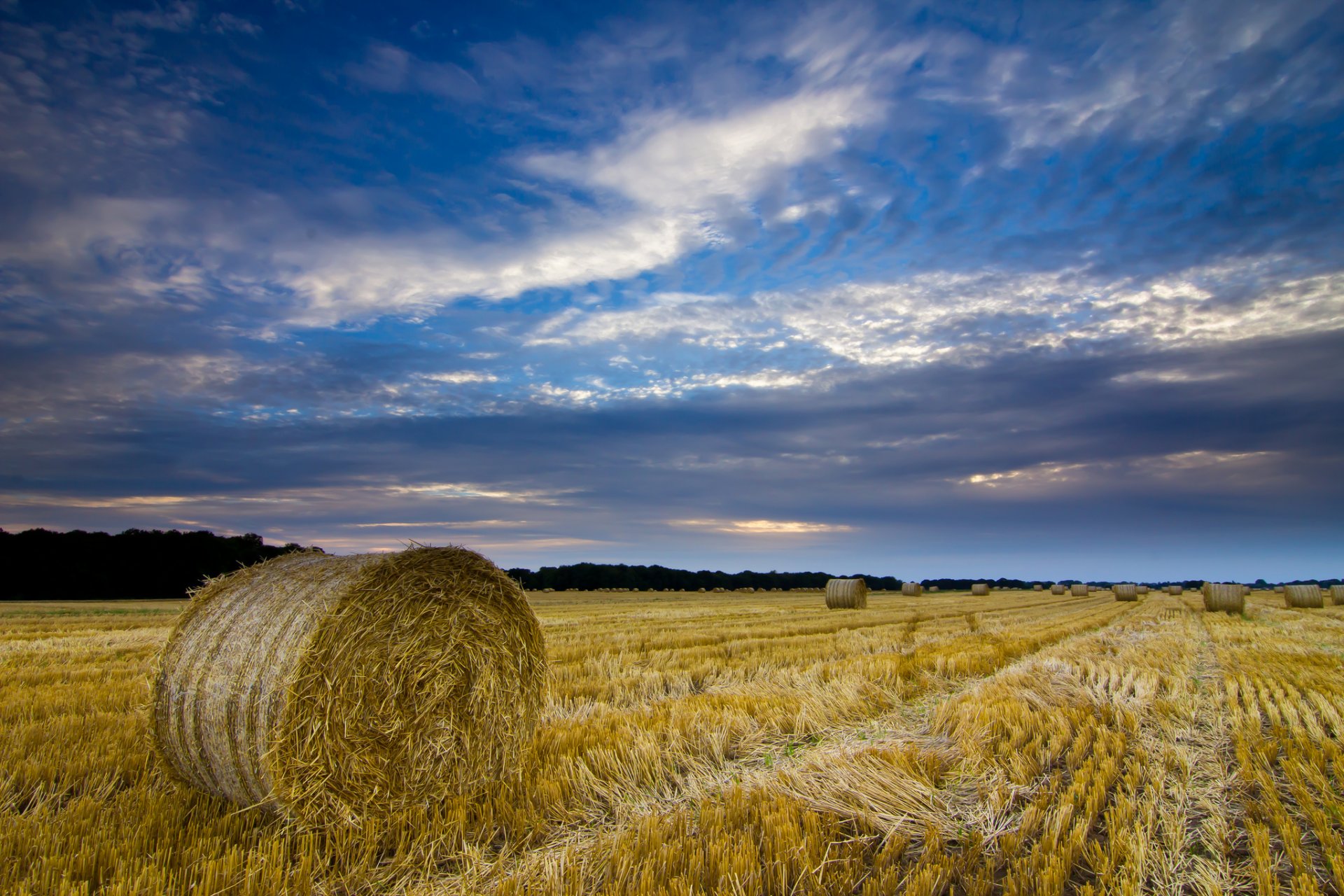 wielka brytania anglia norfolk hrabstwo pole słoma siano bele żniwa wieczór błękitne niebo chmury chmury