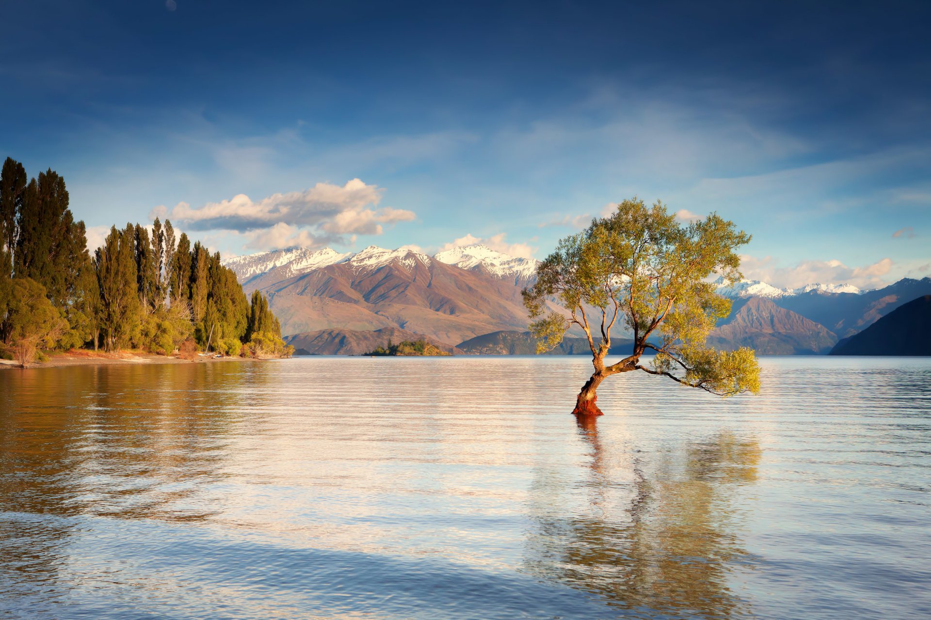 nueva zelanda isla del sur lago wanaka montañas mañana agua árbol