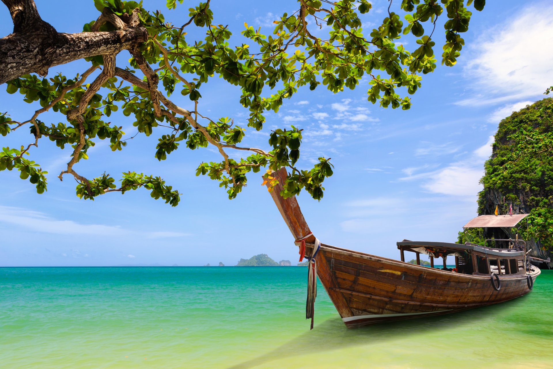 krabi thailand pang nga bay phang nga bay boat tree