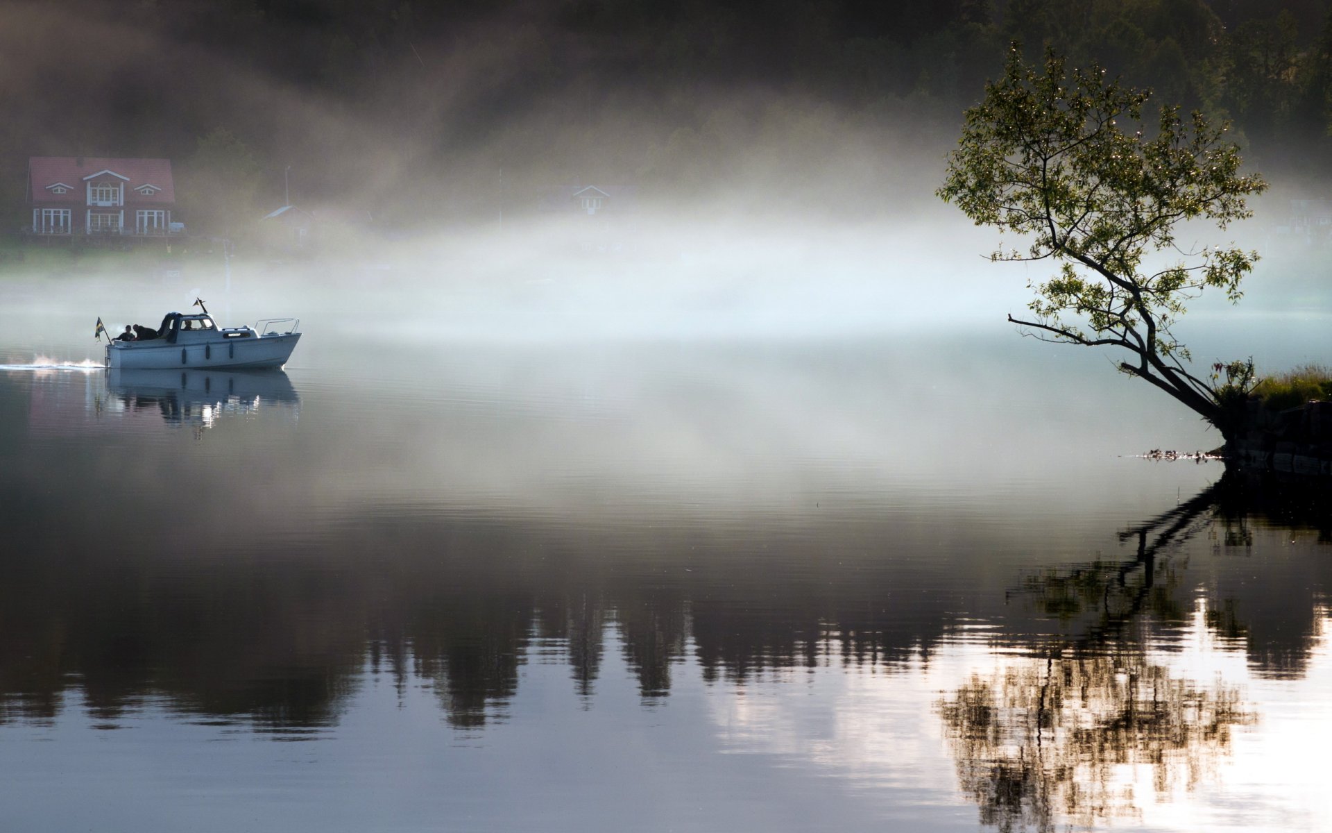 mañana lago barco árbol niebla paisaje