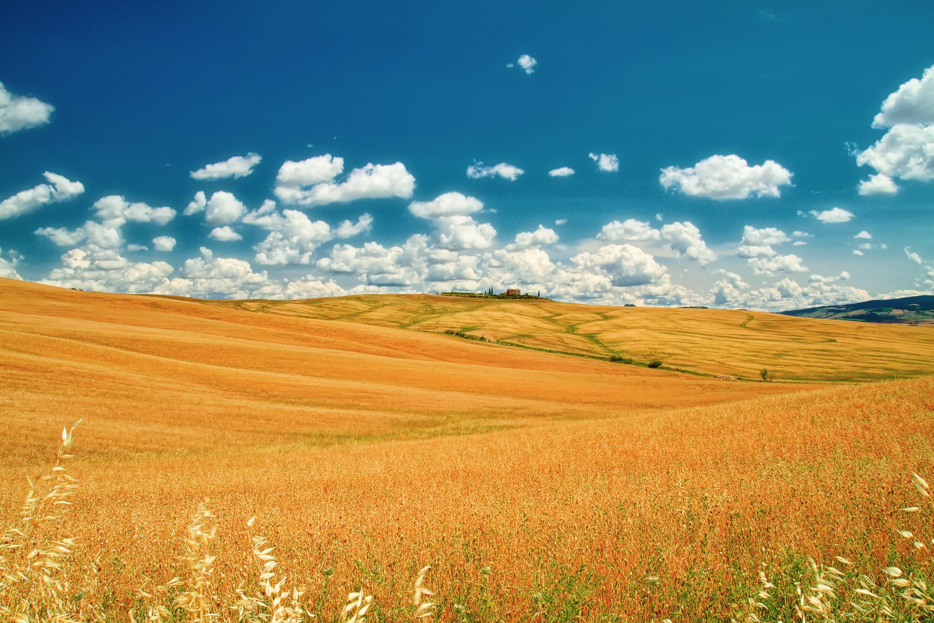 italia toscana verano junio campo cielo nubes