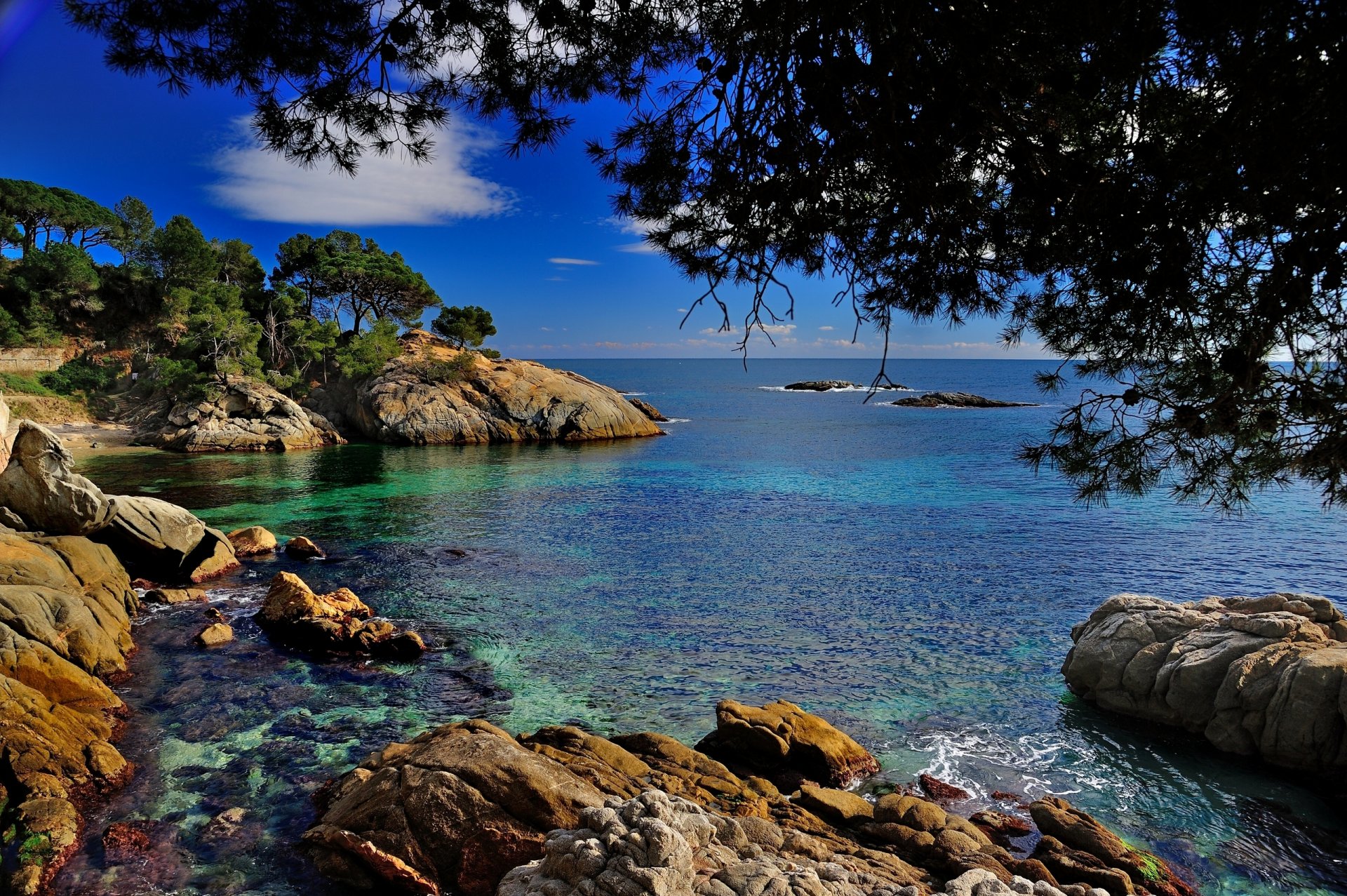 castel-platja d aro katalonia hiszpania costa brava costa brava morze śródziemne kamienie gałęzie wybrzeże