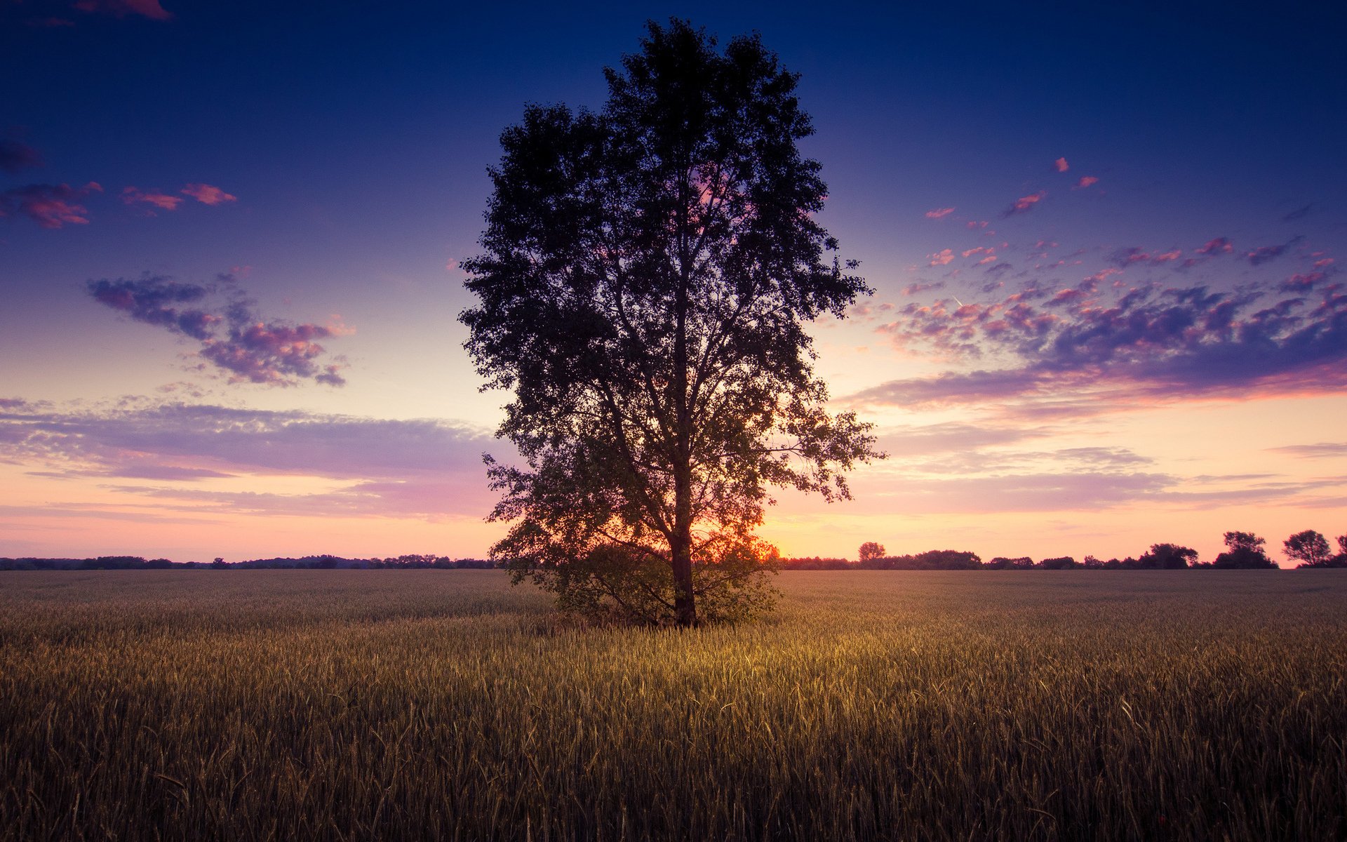 feld baum himmel landschaft