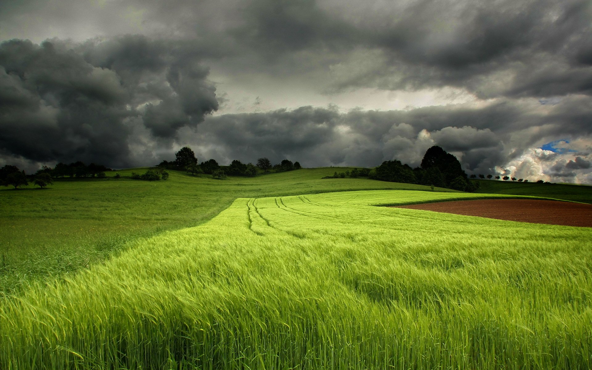 champ ciel paysage été