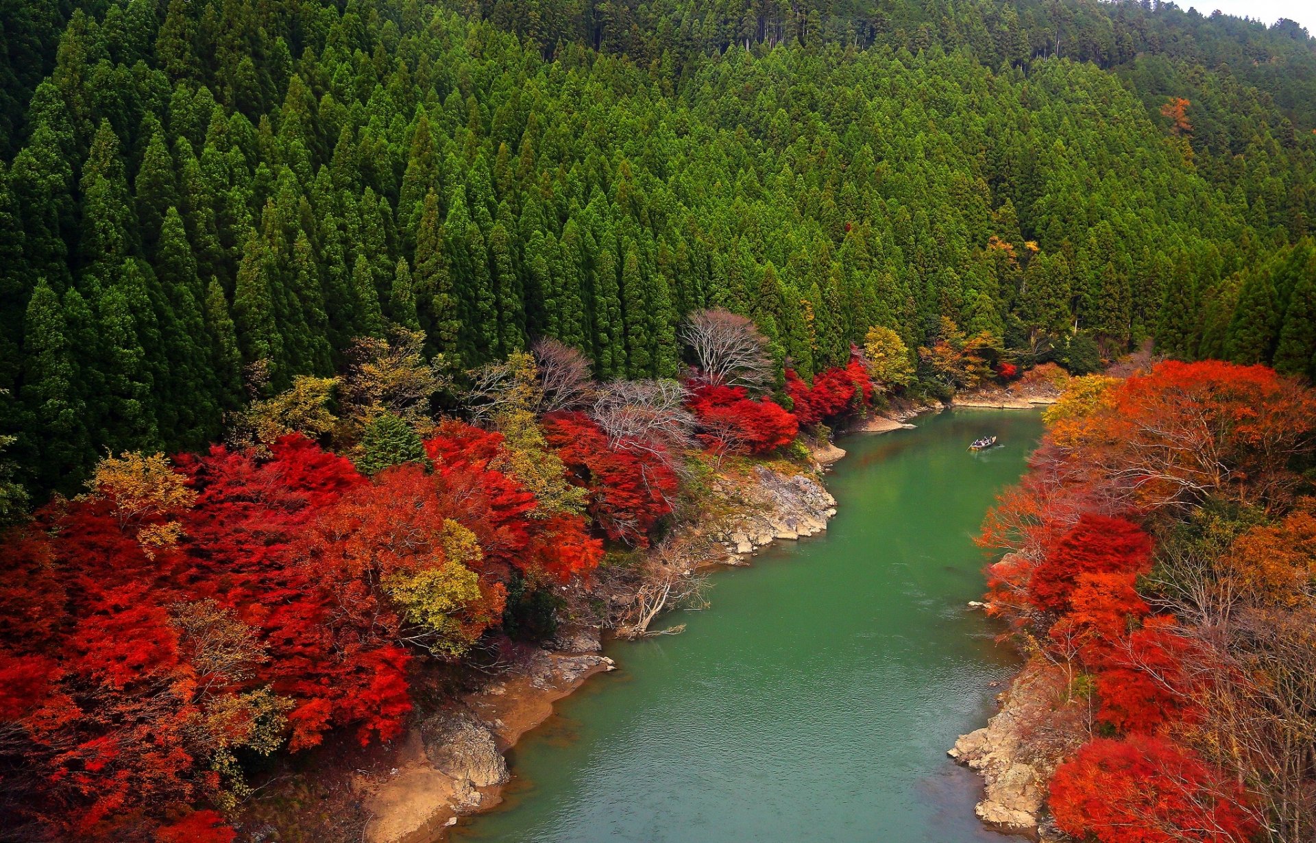 arashiyama kyoto japonia oy river rzeka las drzewa