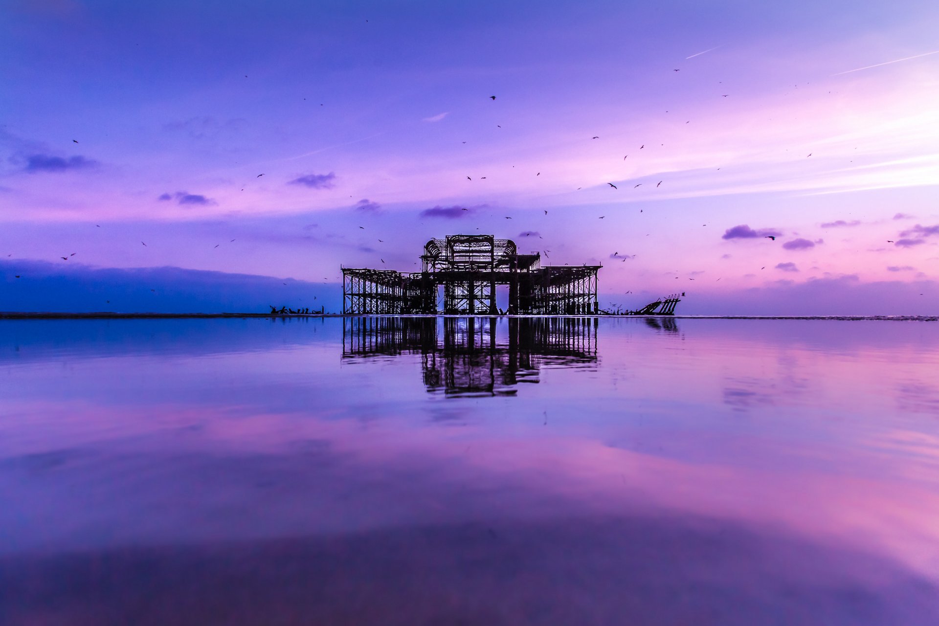 ea water surface of calm pier birds blue lilac sky cloud