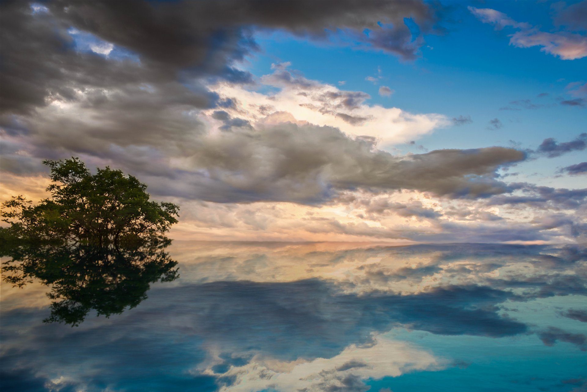 lac arbre eau surface turquoise bleu ciel nuages réflexion