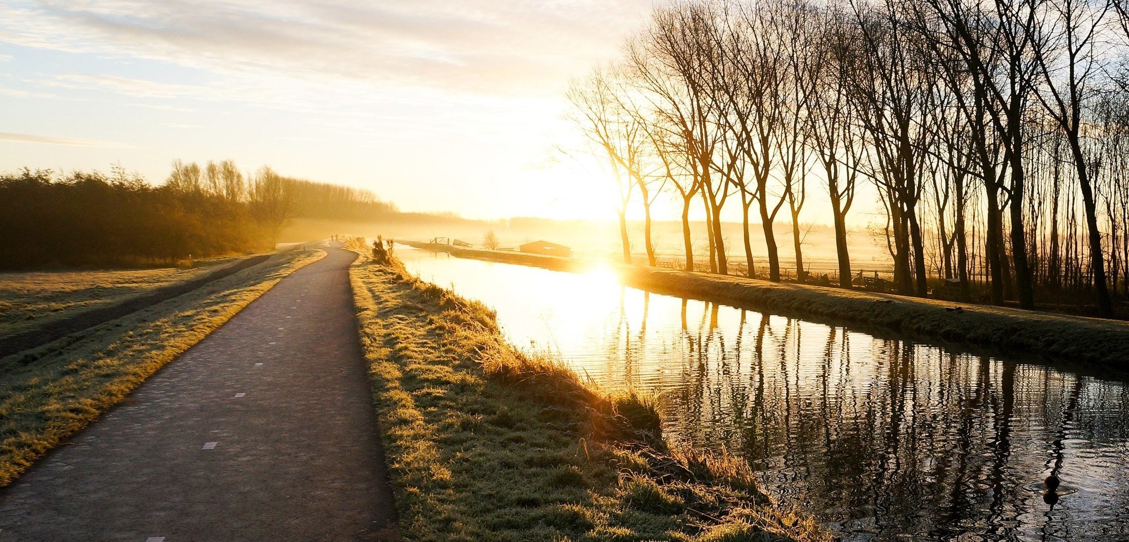 paesaggio natura erba verde prato alberi rami sentiero sentiero strada sentiero acqua fiume fiume riflessione riflessi distanza fogliame verde rami sentiero traccia bagliore carta da parati widescreen po