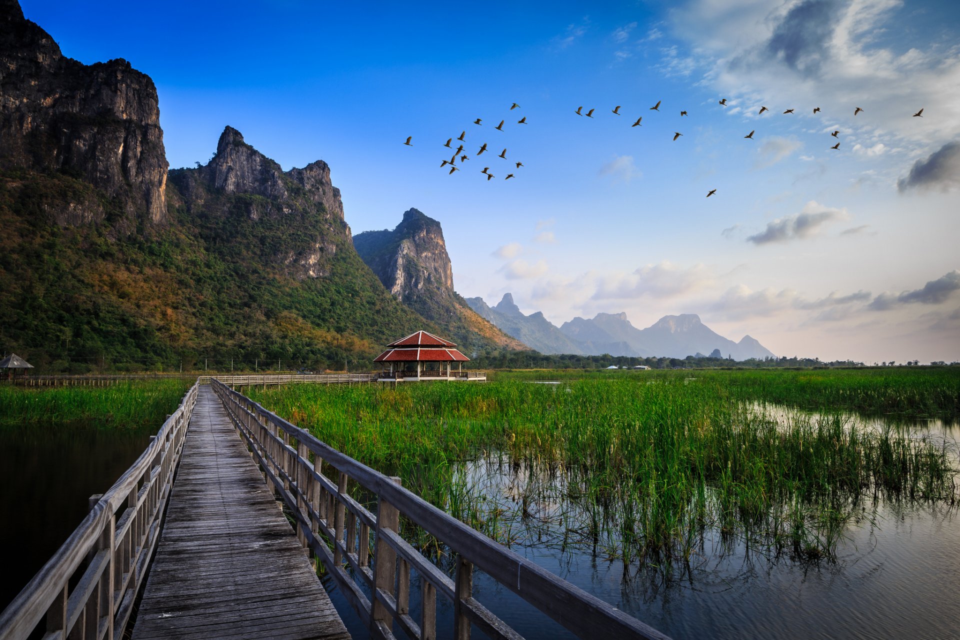 parco nazionale thailandia ponte acqua lago erba capanna costruzione montagne uccelli