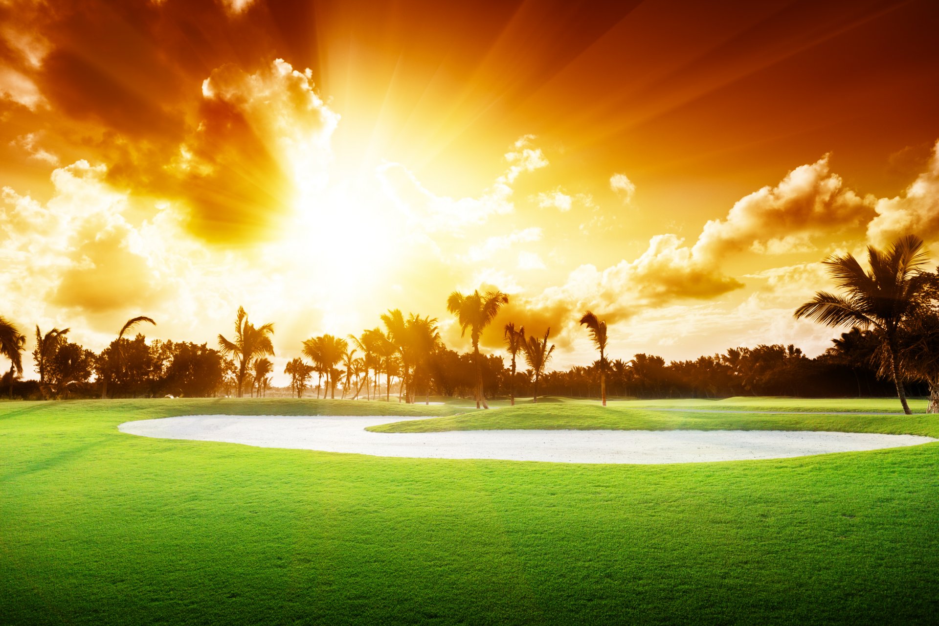 coucher du soleil joliment nature paysage terrain de golf arbres herbe palmiers ciel nuages golf