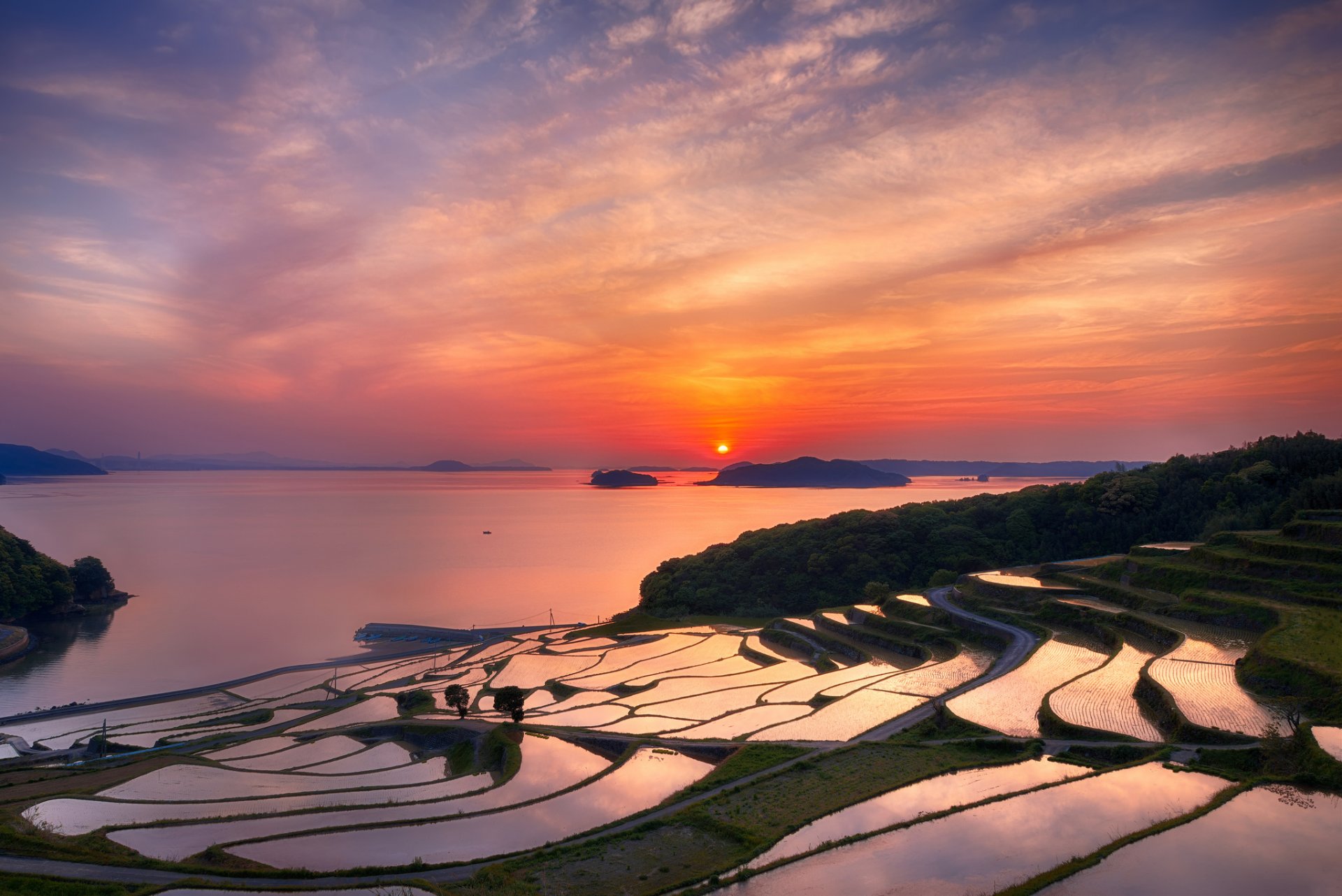 japón nagasaki prefectura terrazas arroz tarde sol puesta de sol naranja cielo nubes