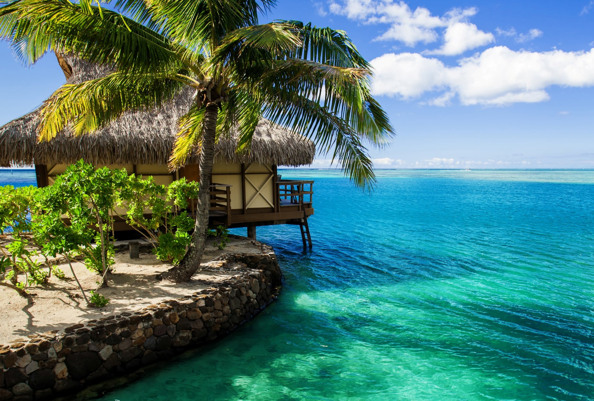 malediven hütte bungalow wasser palme ozean himmel wolken natur