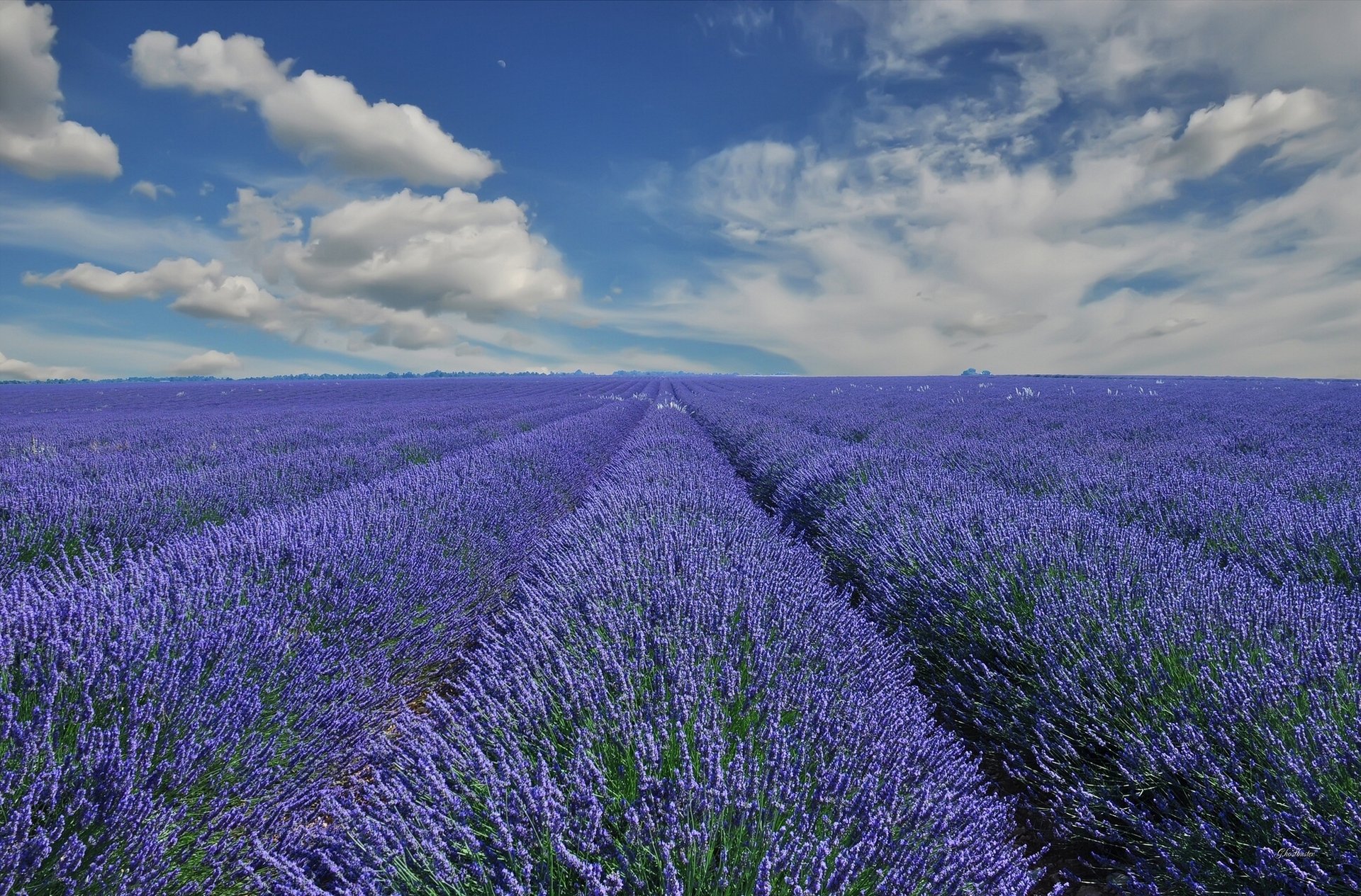 provence france lavande nuages champ