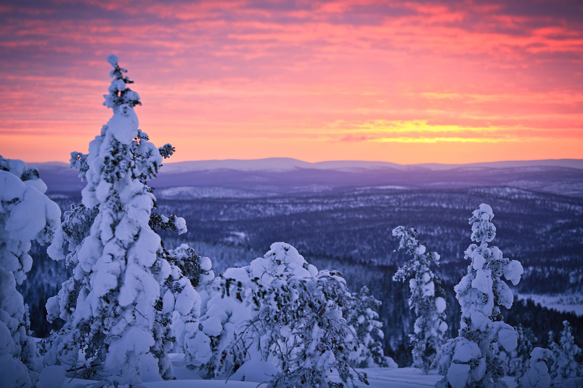 finlandia laponia zima styczeń śnieg las zachód słońca niebo sampsa wesslin rhotography