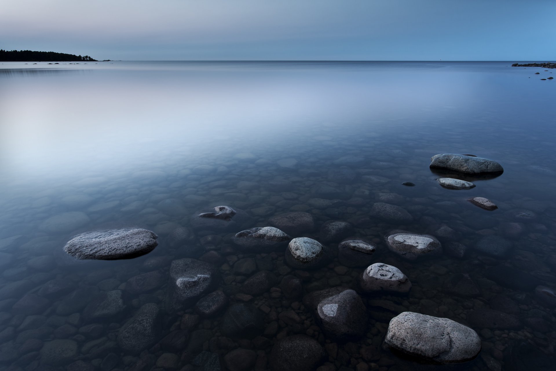 suecia noche lago costa cani agua superficie