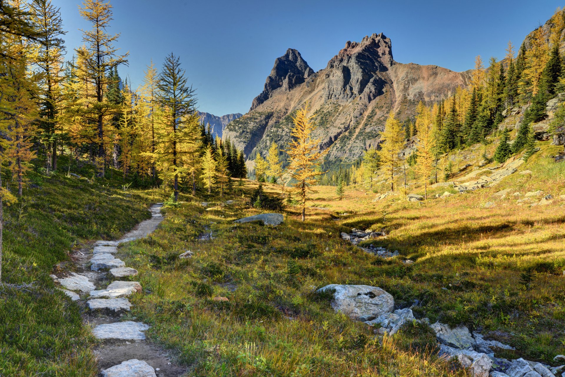 yoho-nationalpark kanada berge bäume wanderweg wald