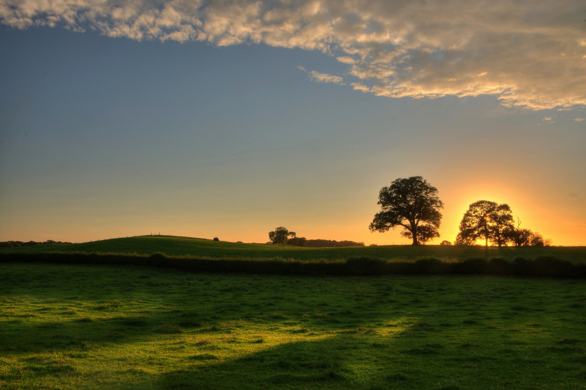 paysage nature arbre arbres feuilles feuillage folioles herbe verdure pré coucher de soleil soleil ciel fond papier peint écran large plein écran écran large écran large