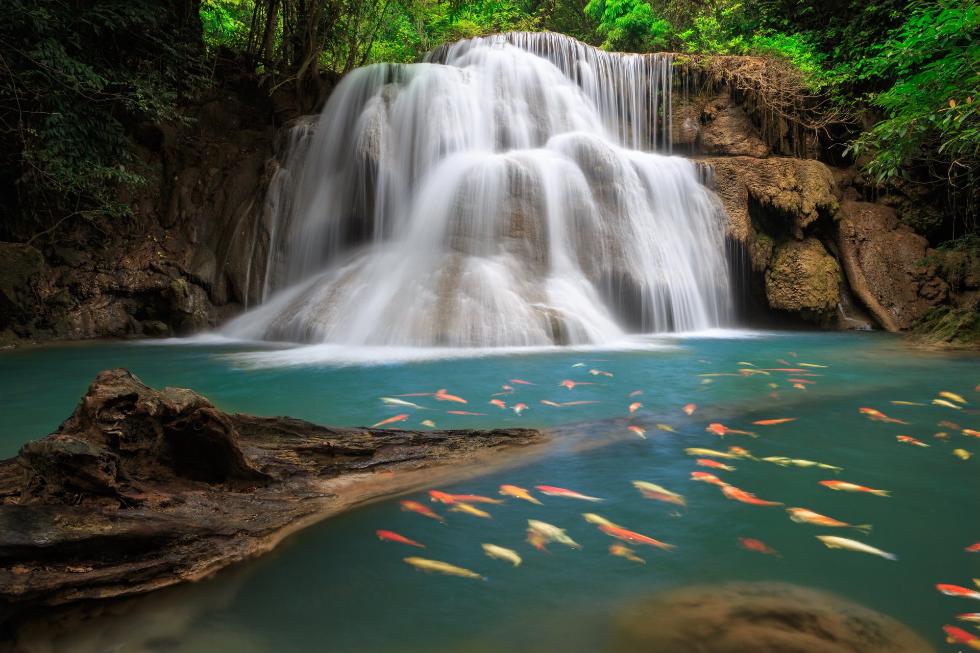 cascada mar lago bosque profundo árboles cielo nubes paisaje naturaleza hojas follaje peces lagos bosques densos hermoso fantasía follaje peces