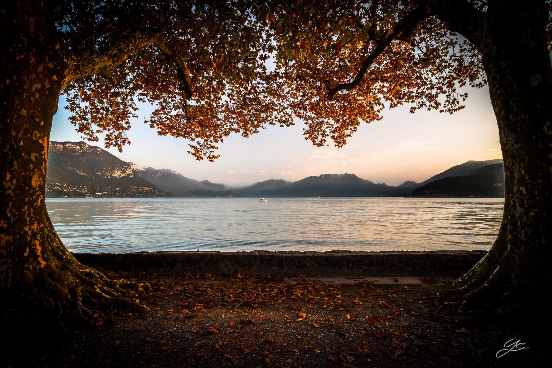 montagne lago alberi autunno