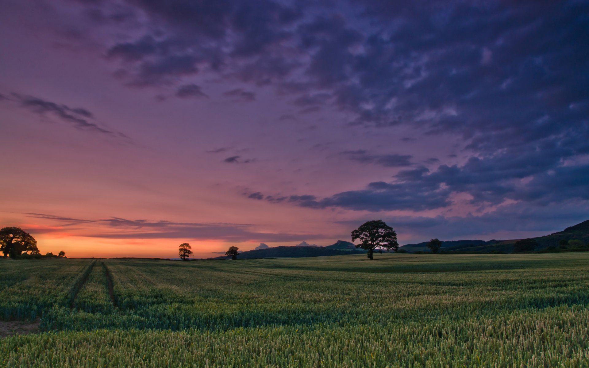 landscape nature grass greenery meadow vegetation tree trees foliage leaves sky clouds evening background wallpaper widescreen fullscreen widescreen widescreen