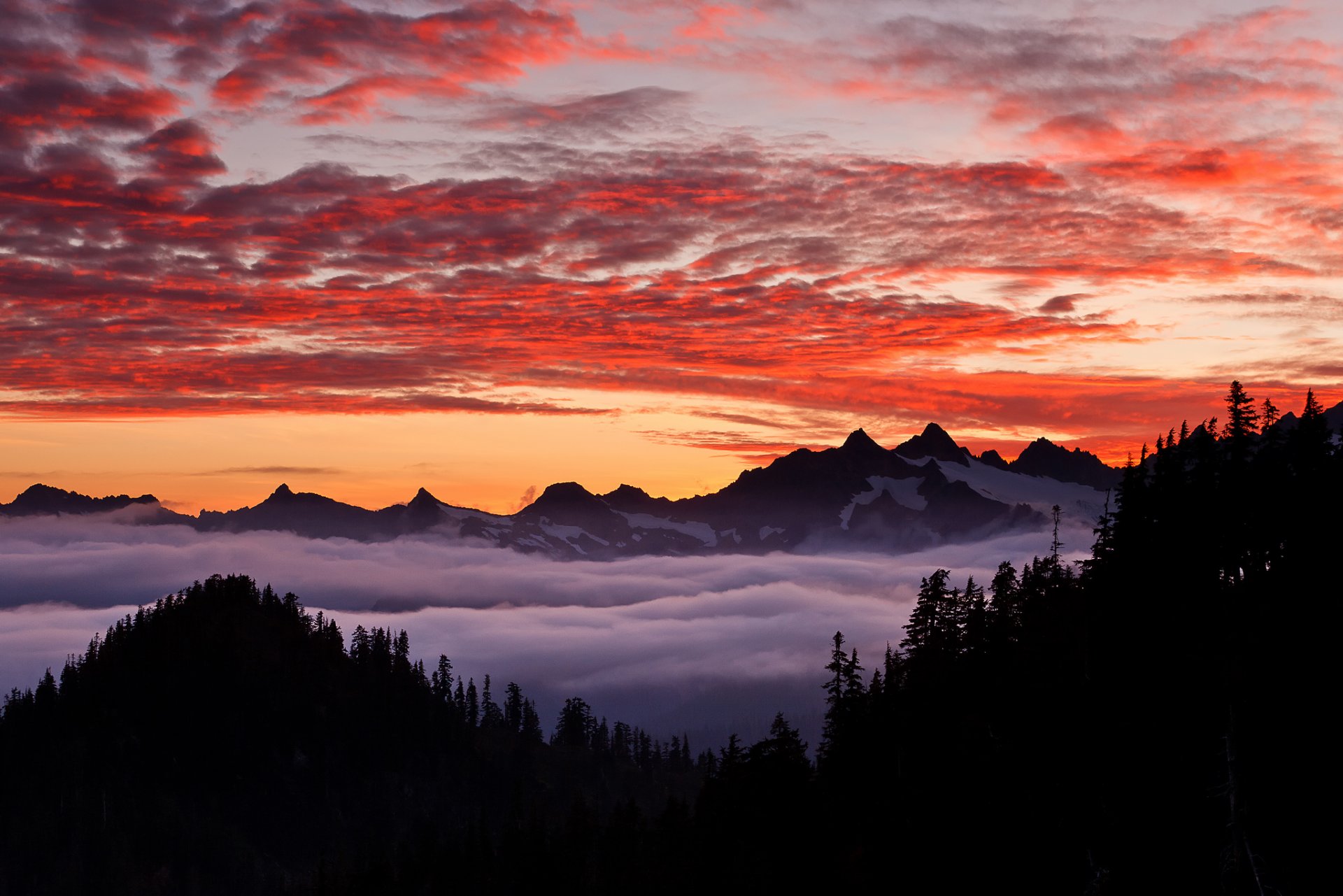 usa oregon górzysty stan góry las niebo zakt michael hellen fotografia