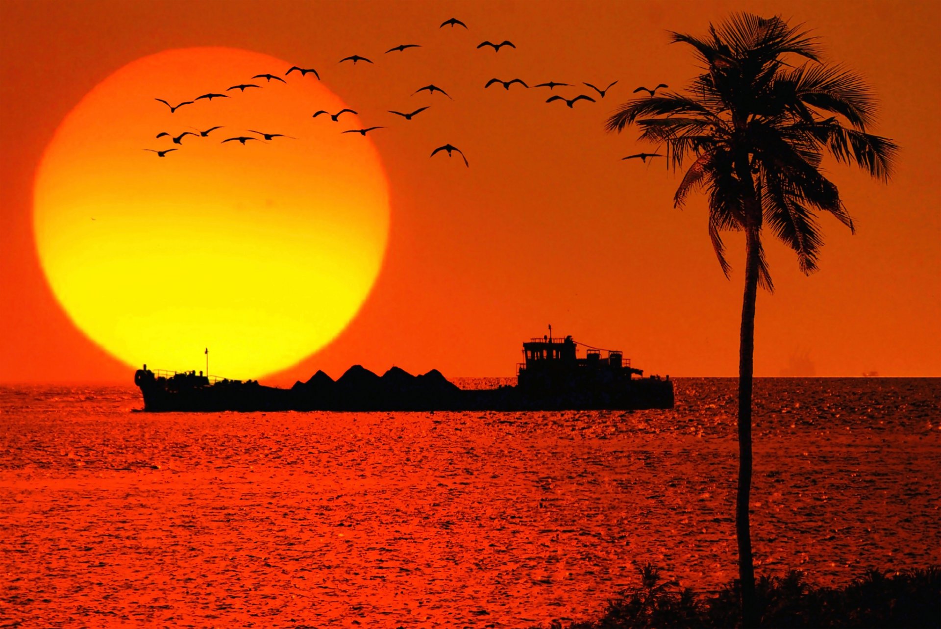 goa mer palmier soleil navire pétrolier oiseaux coucher de soleil silhouettes