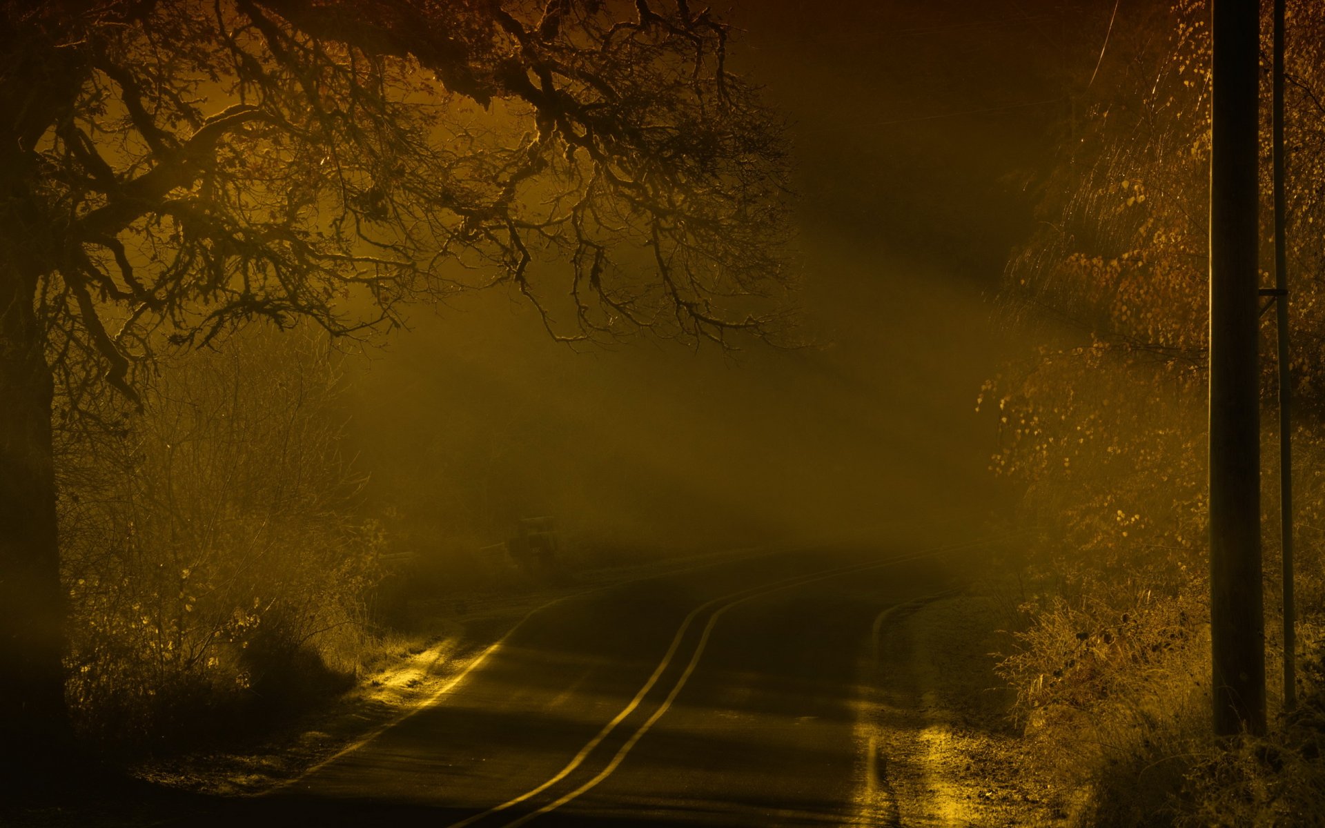 noche camino paisaje