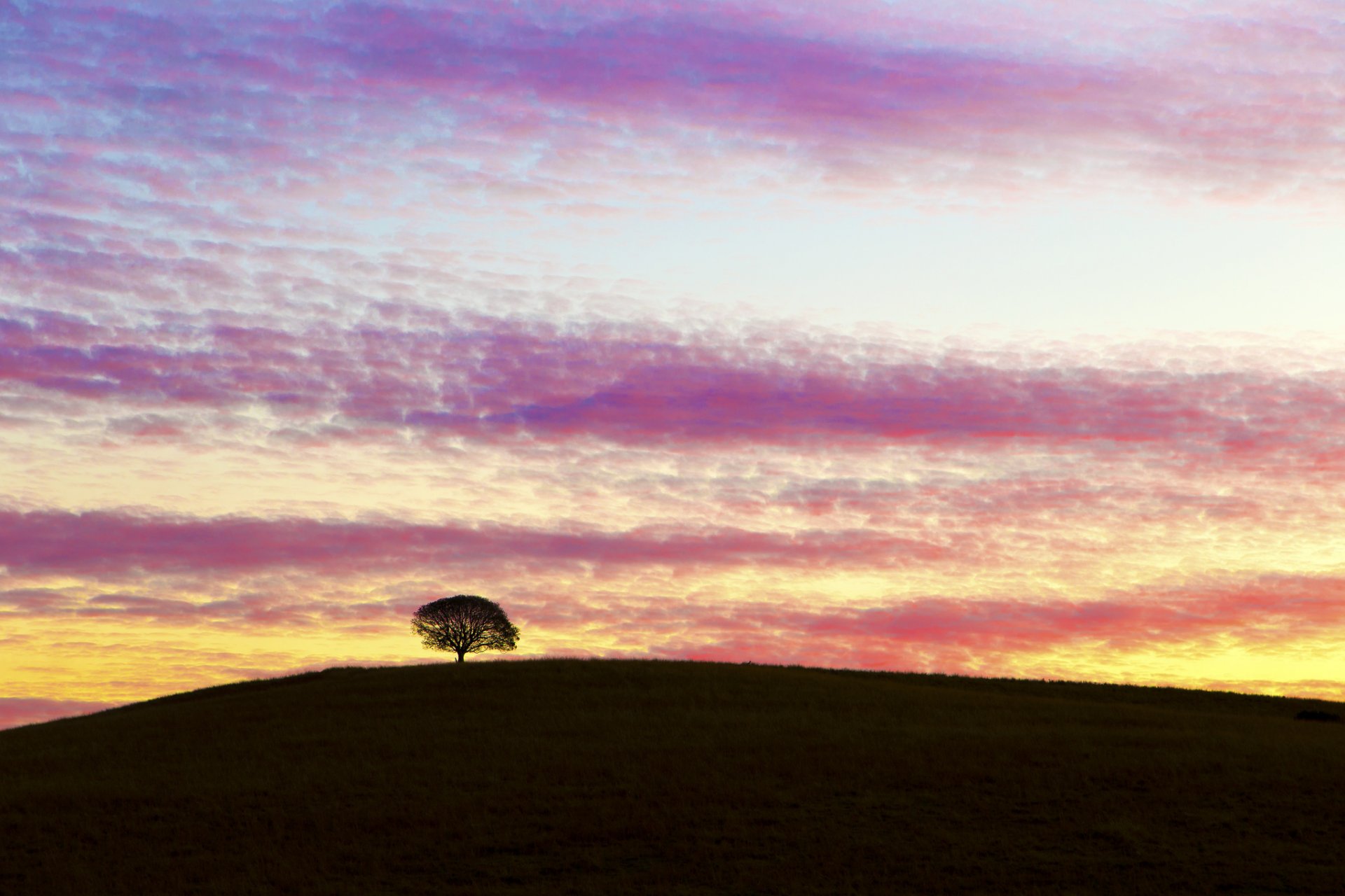 australia colina árbol tarde puesta del sol cielo nubes