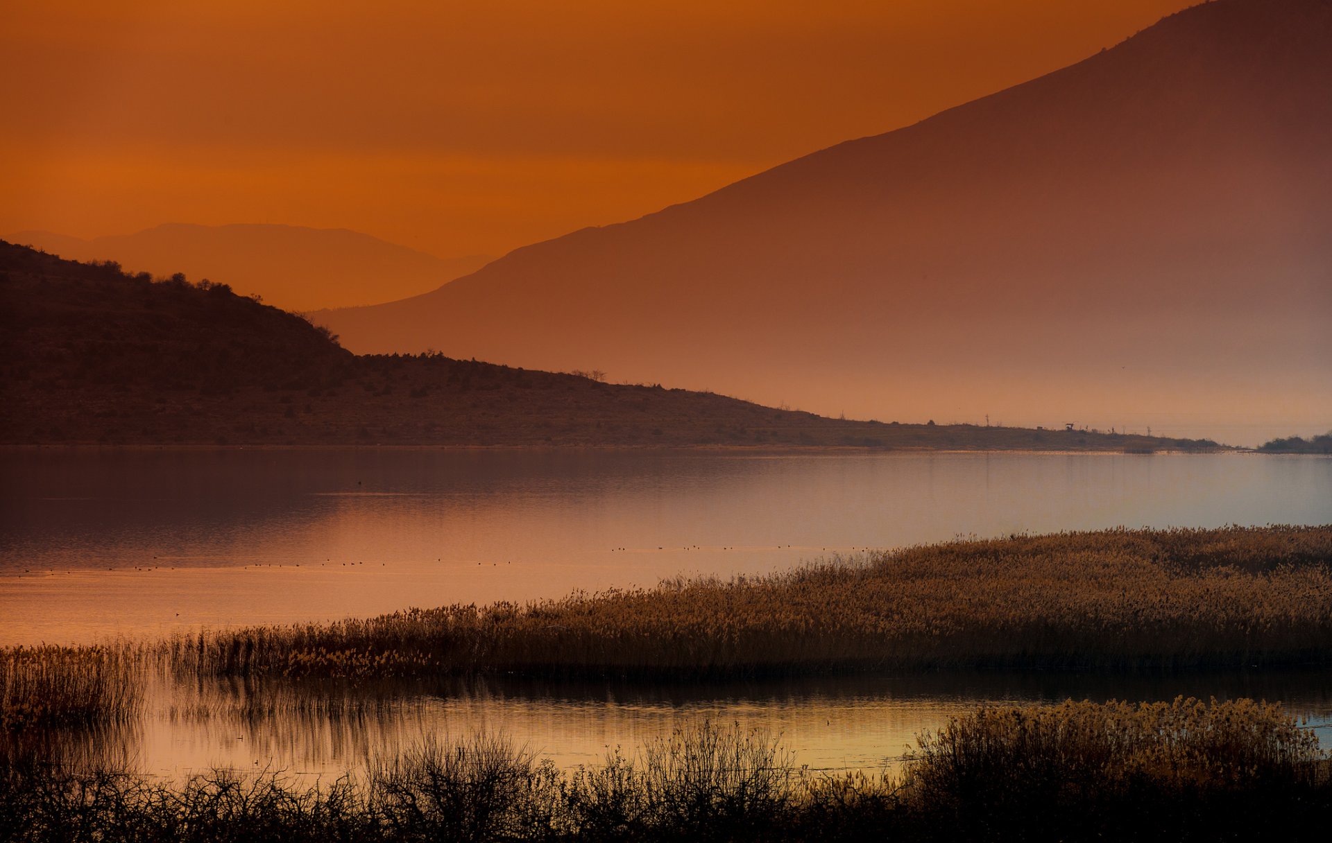 amanecer lago neblina juncos montañas