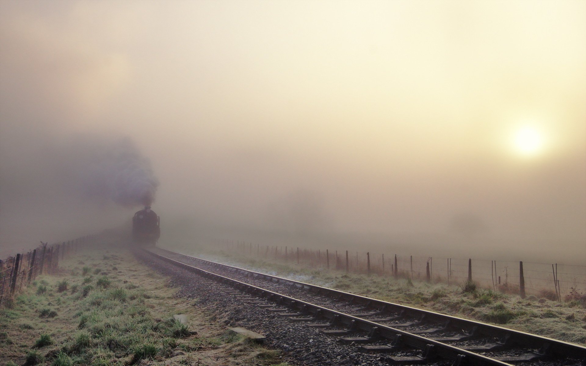 ferrocarril niebla tren