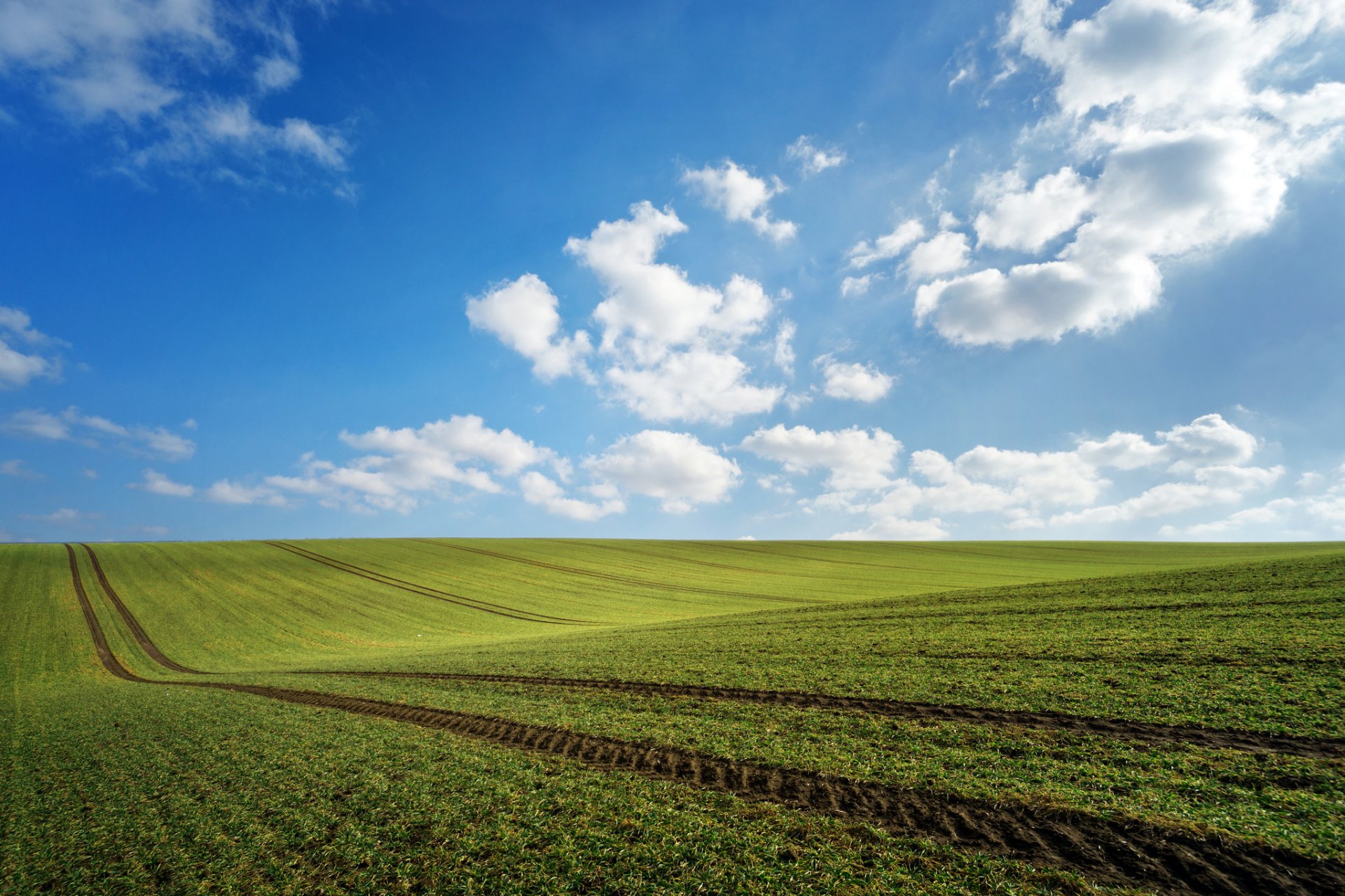 feld grün neyo wolken spuren frühling