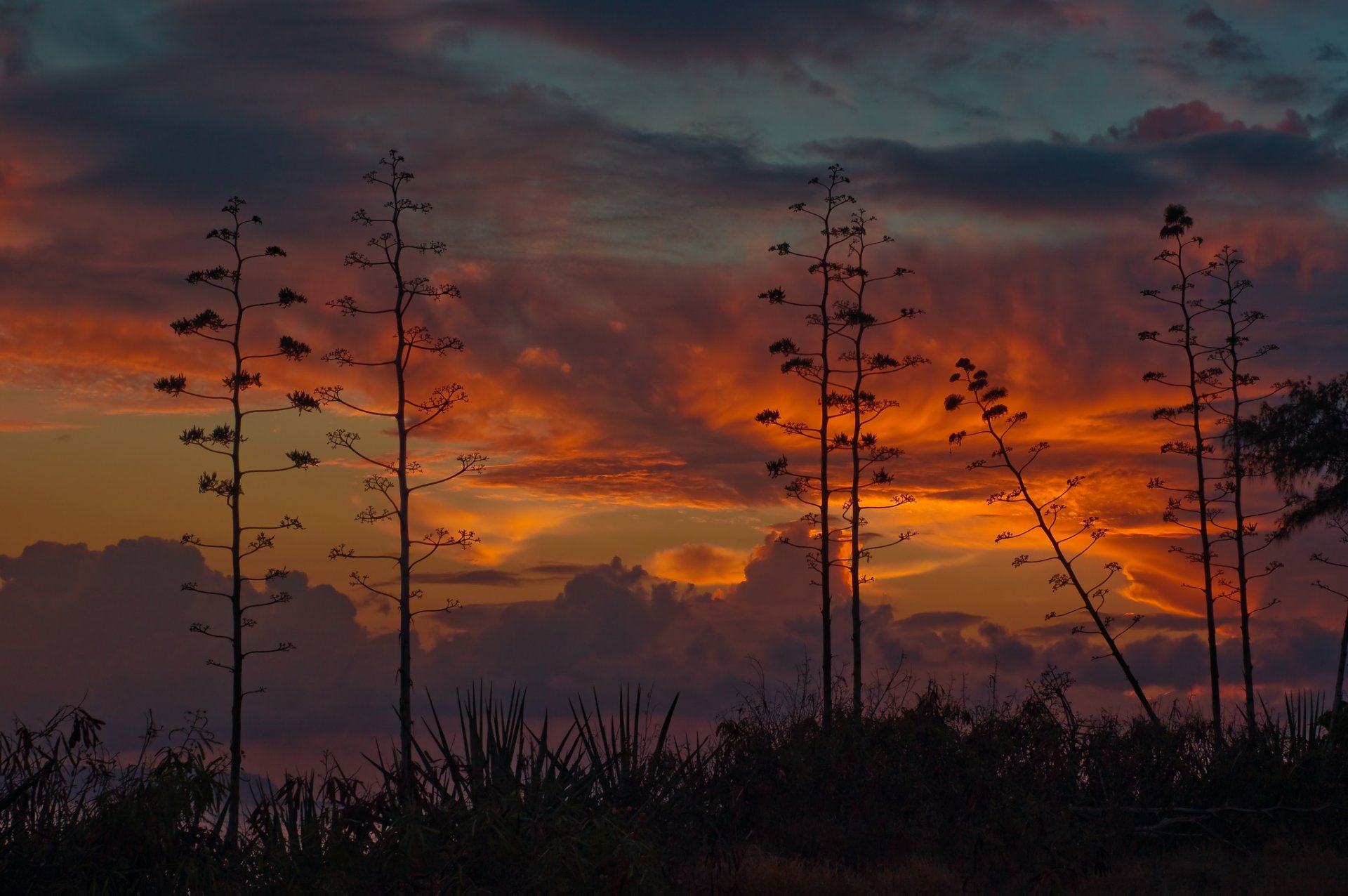 hawaii hawaiian islands kauai sky sunset