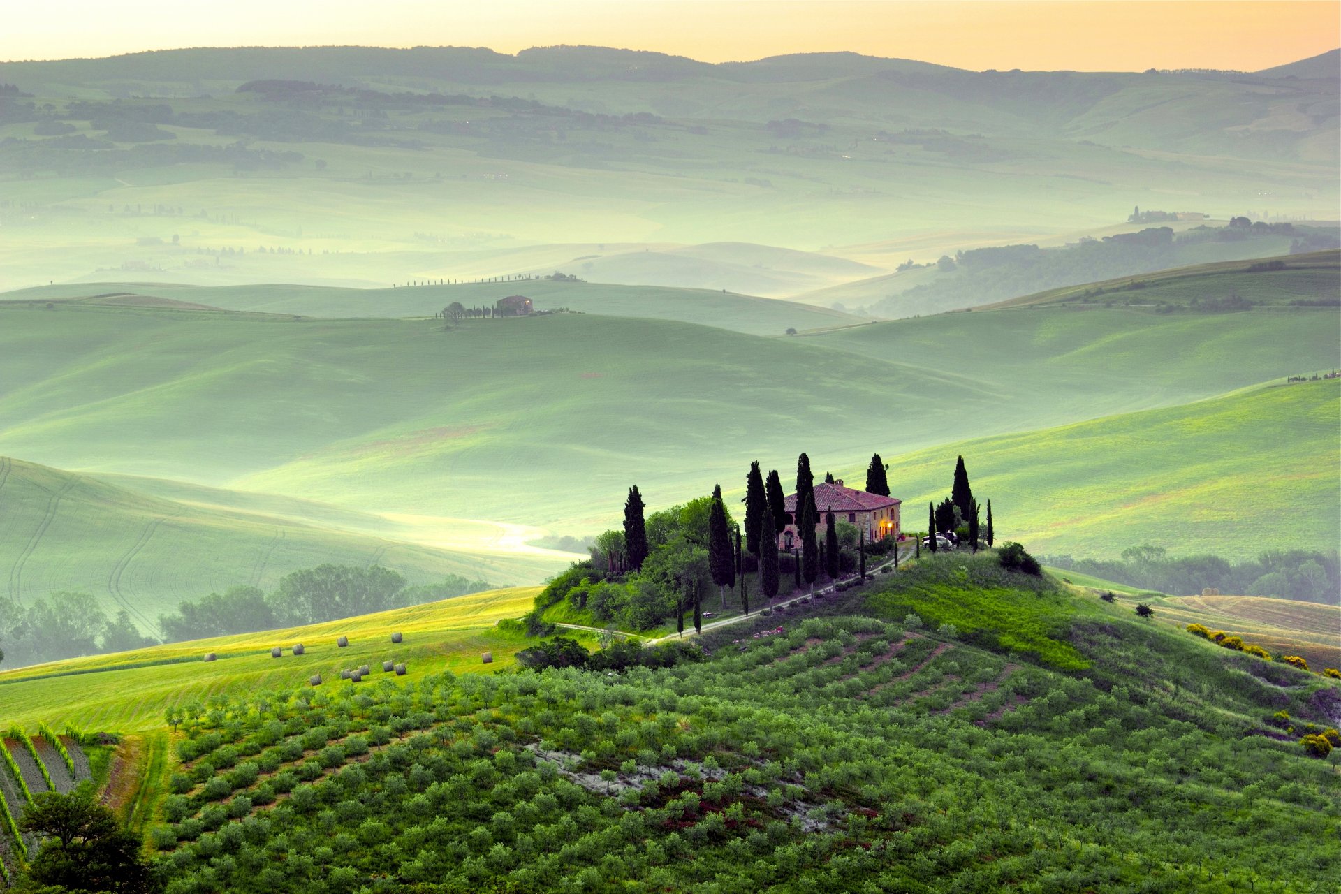 pienza tuscany italy landscape nature trees greenery fields hills morning dawn fog