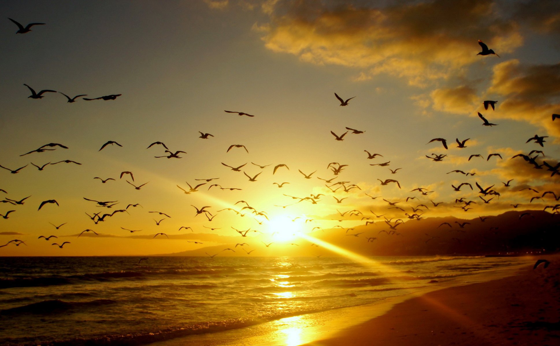 beach coast sand waves article birds sky clouds the distance mountain horizon dawn sunset rays light sun nature