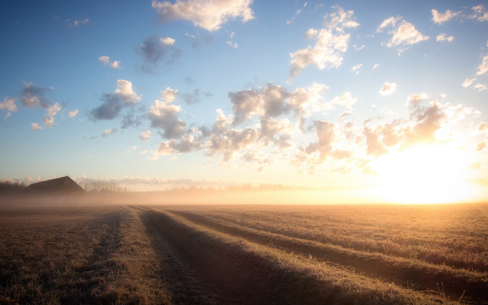 mattina campo paesaggio