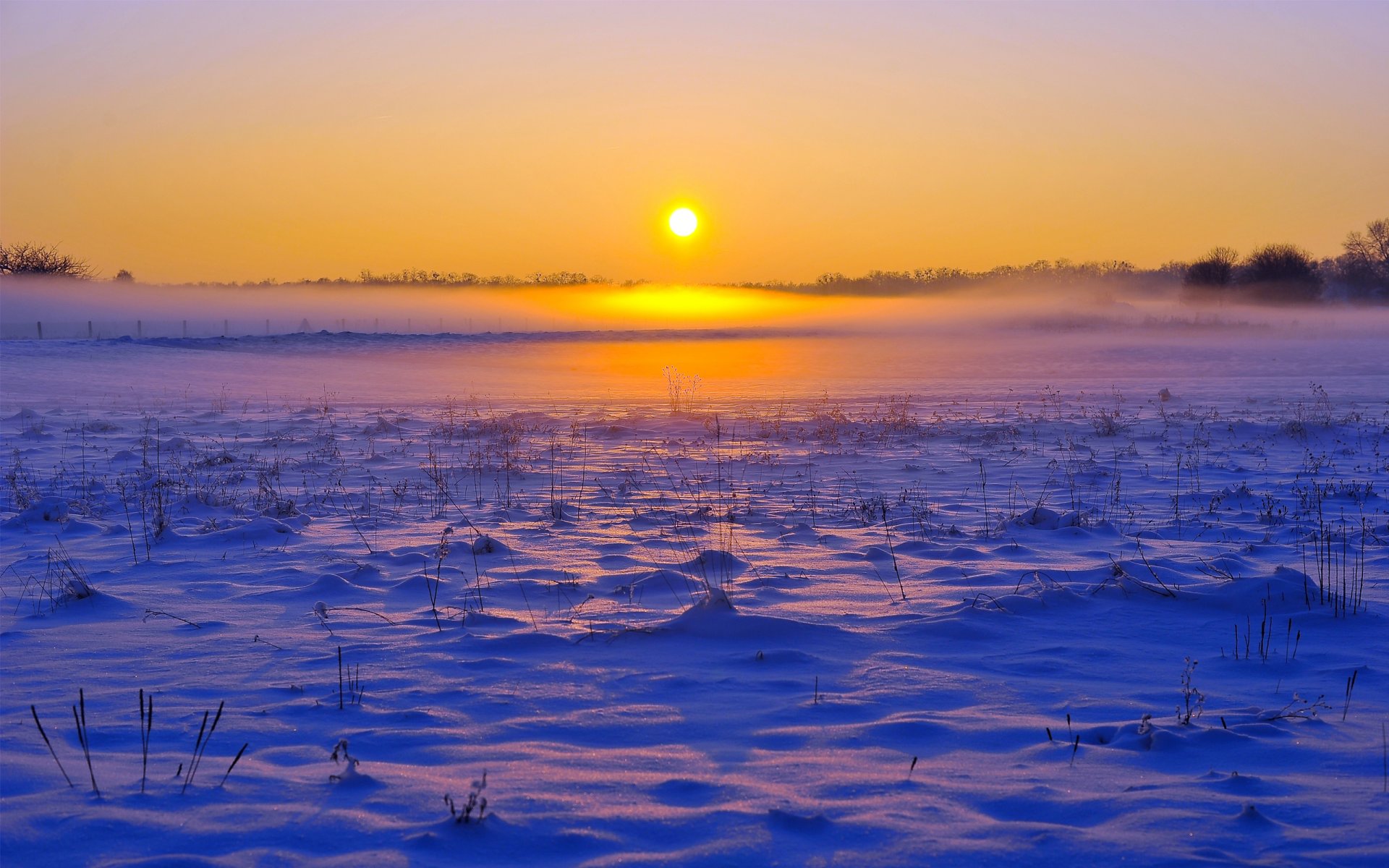 the field winter snow fog horizon forest sky dawn sunset